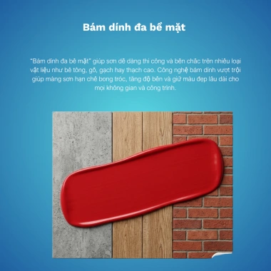 Sơn Bóng Nội Thất X-Paint S1.000 - Bề Mặt Bóng Đẹp, Độ Bền Màu Cao, Đa Màu, Giá Ưu Đãi 324.700₫ 9