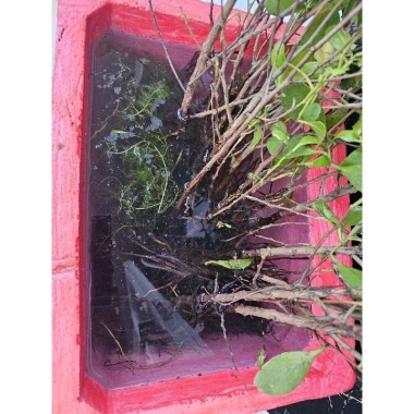 Sơn chống thấm TMT thế hệ 2.025 - màu đậm, đặc hơn, thùng xốp, giá chỉ 30.000đ 2