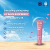 Son dưỡng môi Cancer Council Raspberry SPF50+ chống nắng 15g - Bảo vệ da 159k 3