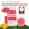 Son Dưỡng Môi Perfect Lips Pink 10g - Mờ Thâm, Chống Nắng, Dưỡng Ẩm, Giá 68.999₫