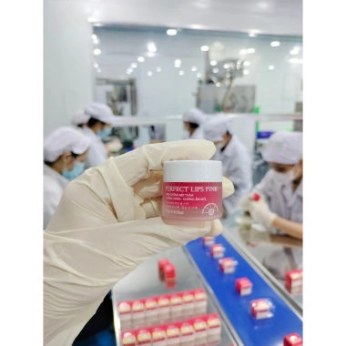 Son Dưỡng Môi Perfect Lips Pink 10g - Mờ Thâm, Chống Nắng, Dưỡng Ẩm, Giá 68.999₫ 7