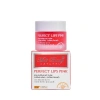 Son Dưỡng Môi Perfect Lips Pink 10g - Mờ Thâm, Chống Nắng, Dưỡng Ẩm, Giá 68.999₫ 10