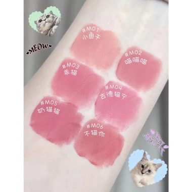Son Flortte Bánh Flan Che Nứt Môi Không Vệt Cốc Dưỡng Ẩm 24H Lâu Trôi Cam Đất Chính Hãng 240.900 VND
