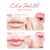 Son Kem Cats Lab Blur Lip Velvet 2.5g - Chất Lì Mềm Mịn, Dễ Tán, Giá 200.000 VND (Giảm từ 250.000) 8