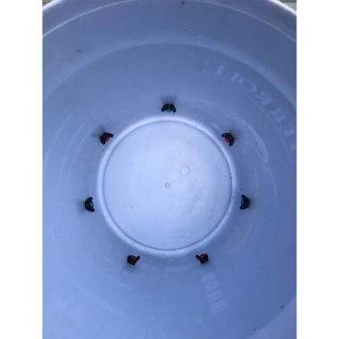 Sơn Khoan Sẵn 1 Thùng + 7-12 Máng Nước Tự Động cho Gà Vịt - Tiết kiệm chi phí, chỉ 39.500₫ 5