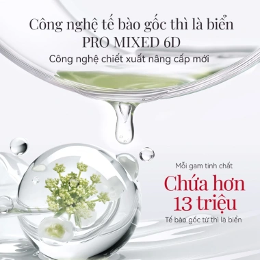 Son môi Carslan Velvet Essence Light 3.2g - Dưỡng ẩm lâu dài, màu mịn, chỉ 396.000₫ 4 Son môi Carslan Velvet Essence Light 3.2g - Dưỡng ẩm lâu dài, màu mịn, chỉ 396.000₫ 4