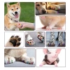 Sơn móng thú cưng cho mèo và chó - 12 màu, chống nước, khô nhanh, không phai, an toàn DIY - chỉ 321.703đ 8