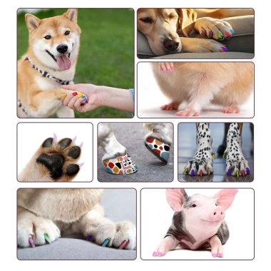 Sơn móng thú cưng cho mèo và chó - 12 màu, chống nước, khô nhanh, không phai, an toàn DIY - chỉ 321.703đ