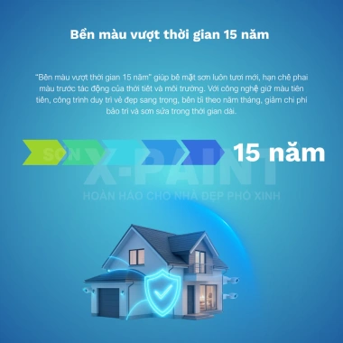 Sơn Nhũ Tăng Thẩm Mỹ - Nhũ Vàng, Bạc, Đồng Sơn Gấm, Gai, Cột Gỗ, Tượng - 187.830₫ 6