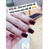 Sơn Thạch Đỏ Rượu Vang Anies Cao Cấp - Đỏ Bóng Kính, Giá Ưu Đãi 28.666₫ 4