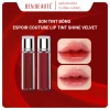Son Tint Bóng Lì Vampy Nutty Couture Espoir – Màu Đậm, Dưỡng ẩm, Giá 310.000 (giảm từ 378.200)