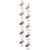 Son tint Entropy Charm Tint Gem 3g nhập khẩu - Màu bóng lâu trôi, dưỡng da, giảm giá 469k 5
