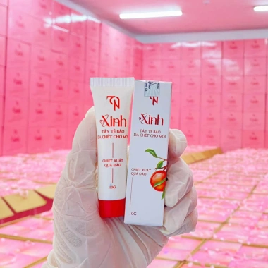 Son Xinh Đông Anh Chính Hãng Set 3 Cây và Tẩy Tế Bào Chết Môi, Giá chỉ 259.000₫
