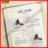 Sơn xịt Samurai chính hãng đủ màu Nhật Bản - Giá ưu đãi 95.000₫, chất lượng cao 3