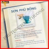 Sơn xịt Samurai chính hãng đủ màu Nhật Bản - Giá ưu đãi 95.000₫, chất lượng cao 8