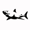 SPM Cool Shark Decal Xe Máy PET Tự Dính Phản Quang Trang Trí Độc Đáo Giá 61.372₫ 10