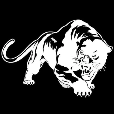 SPM Panther Dán Trang Trí Xe Ô Tô - Đề Can Cửa Sổ Phản Quang, Chỉ 64.993₫