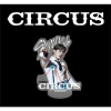 Standee Kpop Stray Kids Acrylic CIRCUS – Phụ kiện trang trí bàn học, giá chỉ 23.000₫ 5