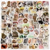 Sticker chống nước BÉ MÈO CUTE 20/50/100 miếng dán mũ bảo hiểm A12 giá 25.000₫