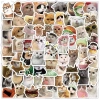 Sticker chống nước BÉ MÈO CUTE 20/50/100 miếng dán mũ bảo hiểm A12 giá 25.000₫ 2