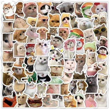 Sticker chống nước BÉ MÈO CUTE 20/50/100 miếng dán mũ bảo hiểm A12 giá 25.000₫ 2
