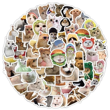 Sticker chống nước BÉ MÈO CUTE 20/50/100 miếng dán mũ bảo hiểm A12 giá 25.000₫ 9