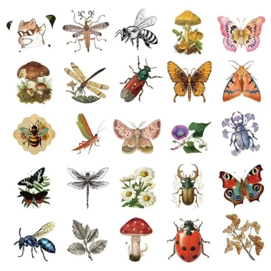 Sticker chống nước Gothic Retro thực vật côn trùng - Set 5/10/20/50, dán bàn ghế, tủ, xe, laptop - 40.000đ