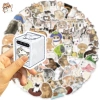Sticker chống nước Mèo Cute Dễ Thương 10/30/70 miếng Dán Mũ Bảo Hiểm CN917 Giá Ưu Đãi 25.000 3