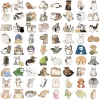 Sticker chống nước Mèo Cute Dễ Thương 10/30/70 miếng Dán Mũ Bảo Hiểm CN917 Giá Ưu Đãi 25.000 5