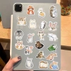 Sticker chống nước Mèo Cute Dễ Thương 10/30/70 miếng Dán Mũ Bảo Hiểm CN917 Giá Ưu Đãi 25.000 9