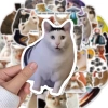 Sticker Chống Nước Mèo Meme NGẠC NHIÊN Dán Mũ Bảo Hiểm M1 Set 10-20-50 Giá 24.900₫ 2