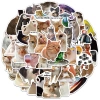 Sticker Chống Nước Mèo Meme NGẠC NHIÊN Dán Mũ Bảo Hiểm M1 Set 10-20-50 Giá 24.900₫ 3
