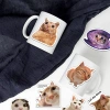 Sticker Chống Nước Mèo Meme NGẠC NHIÊN Dán Mũ Bảo Hiểm M1 Set 10-20-50 Giá 24.900₫ 5