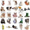 Sticker Chống Nước Mèo Meme NGẠC NHIÊN Dán Mũ Bảo Hiểm M1 Set 10-20-50 Giá 24.900₫ 6