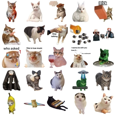 Sticker Chống Nước Mèo Meme NGẠC NHIÊN Dán Mũ Bảo Hiểm M1 Set 10-20-50 Giá 24.900₫ 6