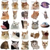 Sticker Chống Nước Mèo Meme NGẠC NHIÊN Dán Mũ Bảo Hiểm M1 Set 10-20-50 Giá 24.900₫ 7