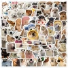 Sticker chống nước SHIBA CORGÍ Dễ Thương Cute - Set 20/40/100, Dán Bàn Ghế Xe Laptop CN717 25k