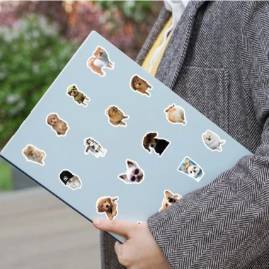 Sticker chống nước SHIBA CORGÍ Dễ Thương Cute - Set 20/40/100, Dán Bàn Ghế Xe Laptop CN717 25k 6