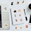 Sticker chống nước SHIBA CORGÍ Dễ Thương Cute - Set 20/40/100, Dán Bàn Ghế Xe Laptop CN717 25k 7