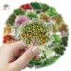 Sticker chống nước trong suốt Cây Xanh 4 Mùa - Set 5/10/20/50, dán bàn ghế, tủ, xe, laptop - Giá chỉ 25.000đ 3