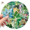 Sticker chống nước trong suốt lá cây kiểng xanh mướt - Set 10/20/50 dán bàn ghế tủ xe ly bình - Giá 30.000đ 3