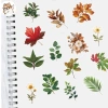 Sticker chống nước trong suốt LÁ XANH Set 5/10/20/50 dán bàn ghế, tủ, xe, laptop 25k 3