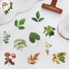 Sticker chống nước trong suốt LÁ XANH Set 5/10/20/50 dán bàn ghế, tủ, xe, laptop 25k 5
