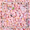 Sticker Phụ Kiện Gắn Dép Xinh Xắn – Charm Trang Trí Dép, Giảm Giá 25.000 VNĐ tại PINIC STORE 50