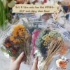 Sticker vintage dán sổ set 6 tấm mẫu hoa khô HD166-K57 sinh động chân thực DIY Bullet Journal giá chỉ 10.500 đồng