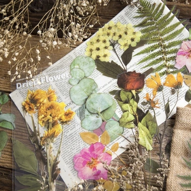 Sticker vintage dán sổ set 6 tấm mẫu hoa khô HD166-K57 sinh động chân thực DIY Bullet Journal giá chỉ 10.500 đồng
