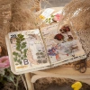 Sticker vintage dán sổ set 6 tấm mẫu hoa khô HD166-K57 sinh động chân thực DIY Bullet Journal giá chỉ 10.500 đồng 4