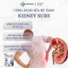Sữa Bổ Thận Kidney Sure 400g - Dinh Dưỡng Hỗ Trợ Thận, Giá Ưu Đãi 242.771 VND 3