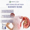 Sữa Bổ Thận Kidney Sure 400g - Dinh Dưỡng Hỗ Trợ Thận, Giá Ưu Đãi 242.771 VND 4