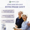 Sữa Bột Dinh Dưỡng Cho Người Lớn - Giải Pháp Gout Fotecpham, Giá 300.600₫ 3